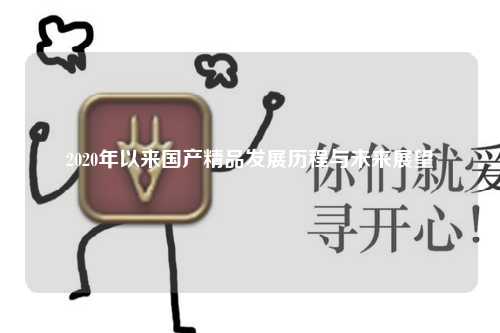 2020年以来国产精品发展历程与未来展望