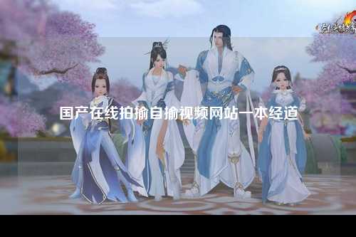 国产在线拍揄自揄视频网站一本经道