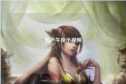 国产午夜小视频