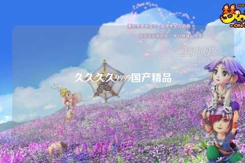 久久久久9999国产精品
