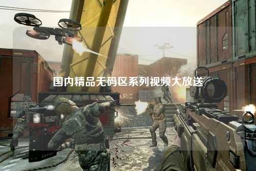 国内精品无码区系列视频大放送