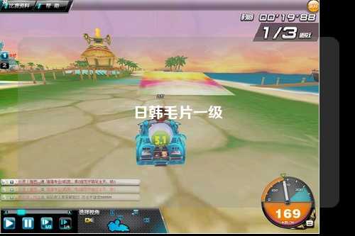 日韩毛片一级