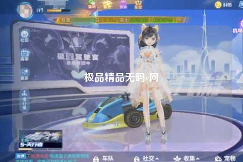 极品精品无码v网