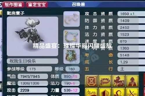 精品盛宴：璀璨华丽闪耀盛放