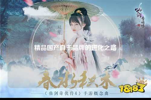 精品国产自主品牌的进化之路