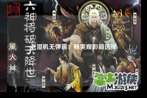 老湿机无弹窗：畅爽观影新选择