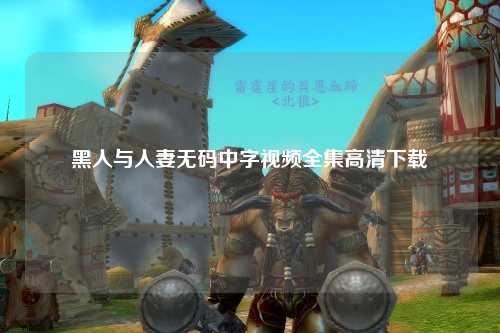 黑人与人妻无码中字视频全集高清下载