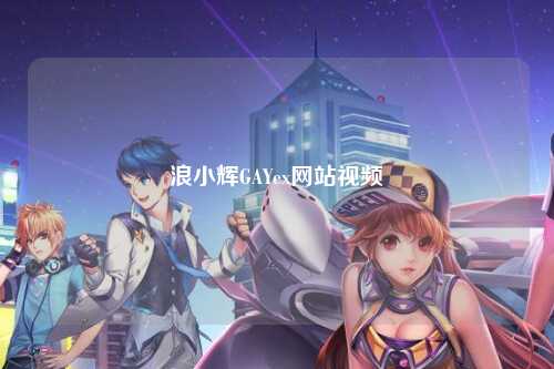浪小辉GAYex网站视频