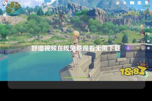 好湿视频在线免费观看无需下载