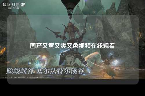 国产又黄又爽又色视频在线观看